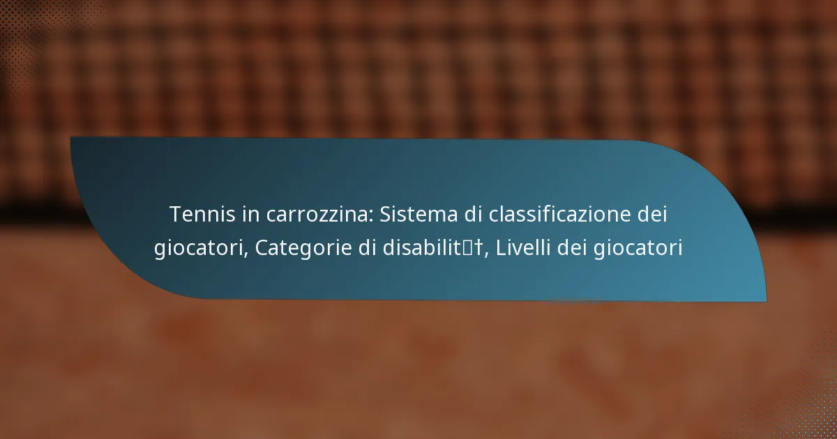 Tennis in carrozzina: Sistema di classificazione dei giocatori, Categorie di disabilità, Livelli dei giocatori