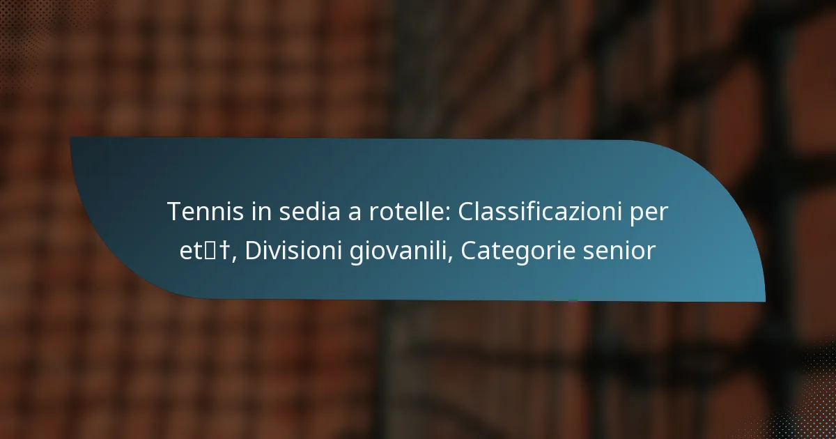 Tennis in sedia a rotelle: Classificazioni per età, Divisioni giovanili, Categorie senior