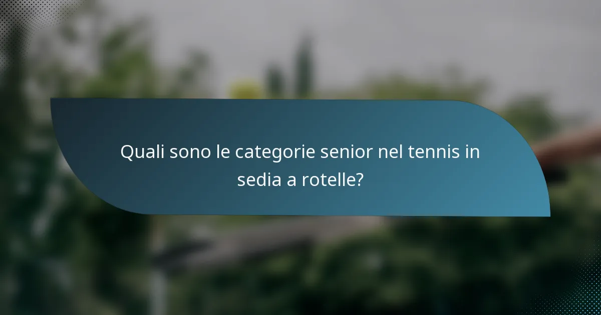 Quali sono le categorie senior nel tennis in sedia a rotelle?